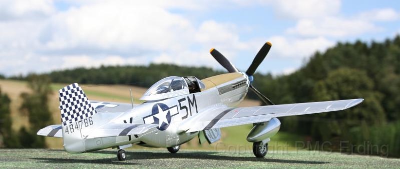 F-6D Mustang Dragon 1-32 Lauerbach Peter 05.JPG